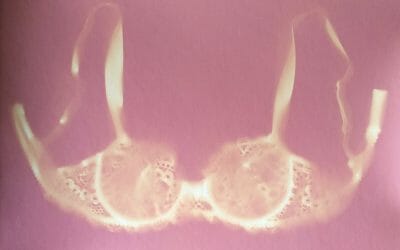 F & D Cartier: Roses