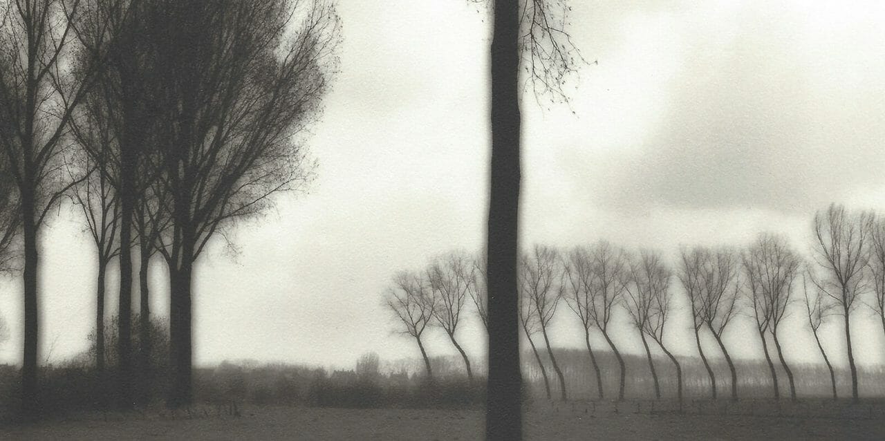 Lynn Geesaman - Elizabeth Houston Gallery